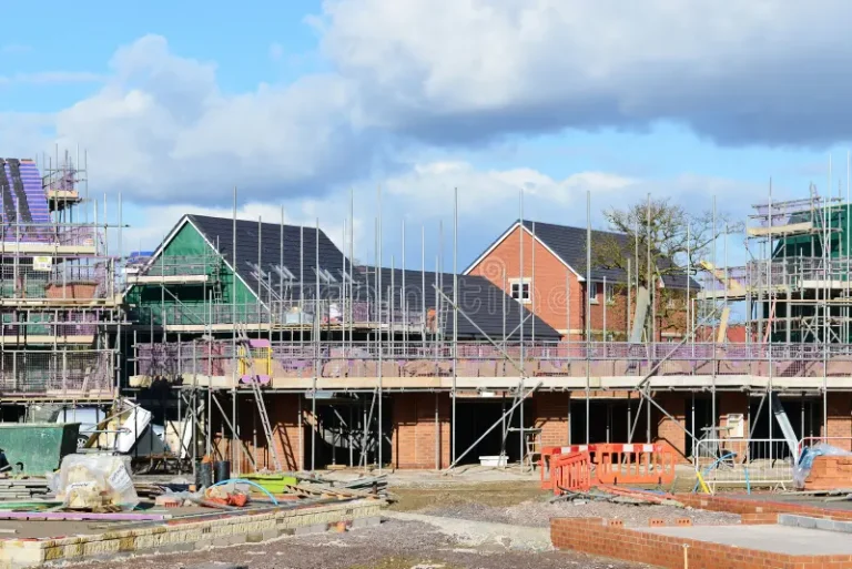 Why Professional Real Estate Services Matter